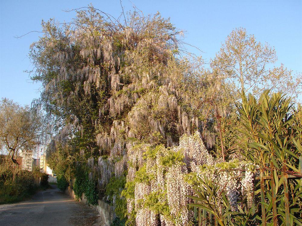 Parco Delle Valli Sassari Zewnętrze zdjęcie